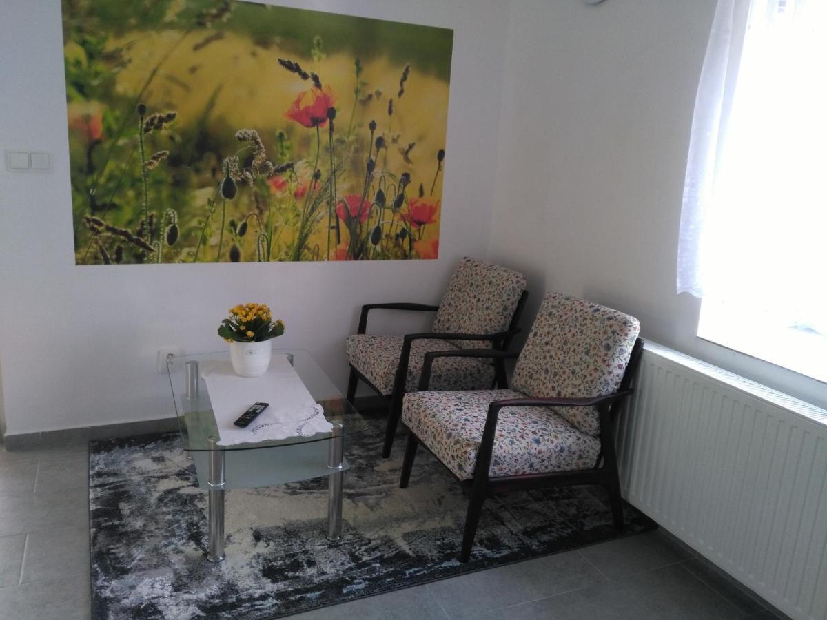 Apartman Gutino تشسكه تربوفه المظهر الخارجي الصورة